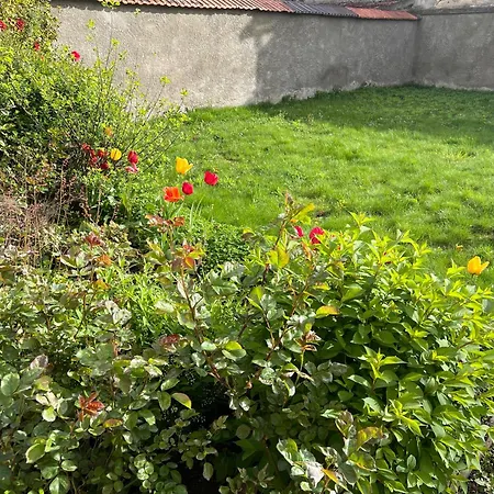 Magnifique F4 Pour 11 Personnes A