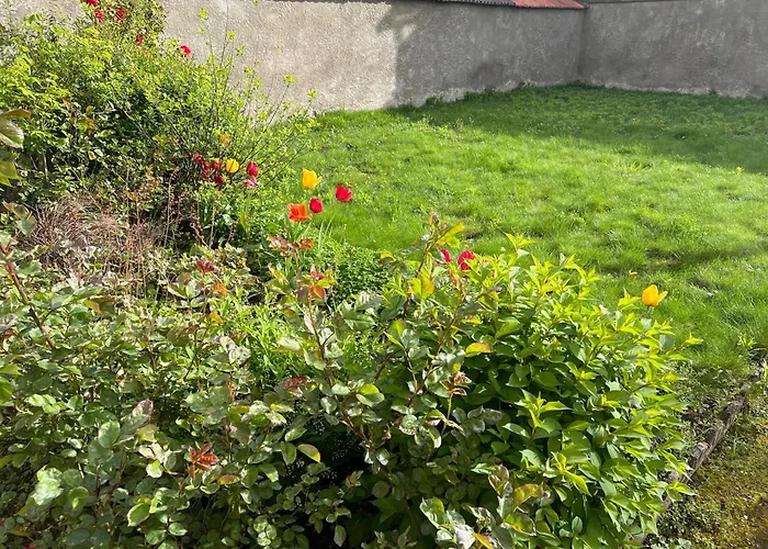 Magnifique F4 Pour 11 Personnes A